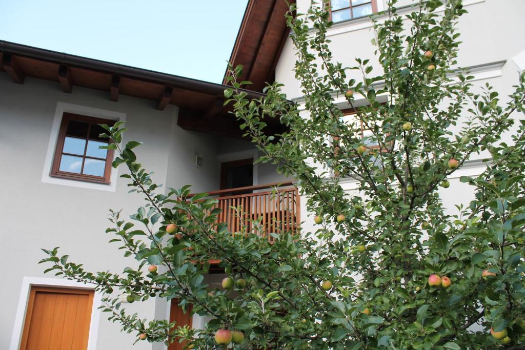 Apartment Posthausl Solden